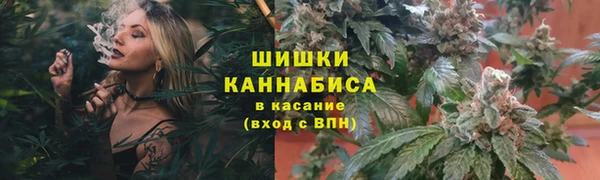 экстази Бородино