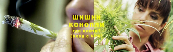 экстази Бородино