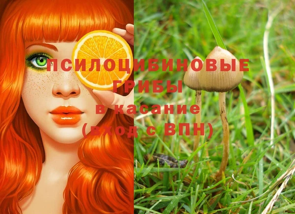 прущая мука Бронницы
